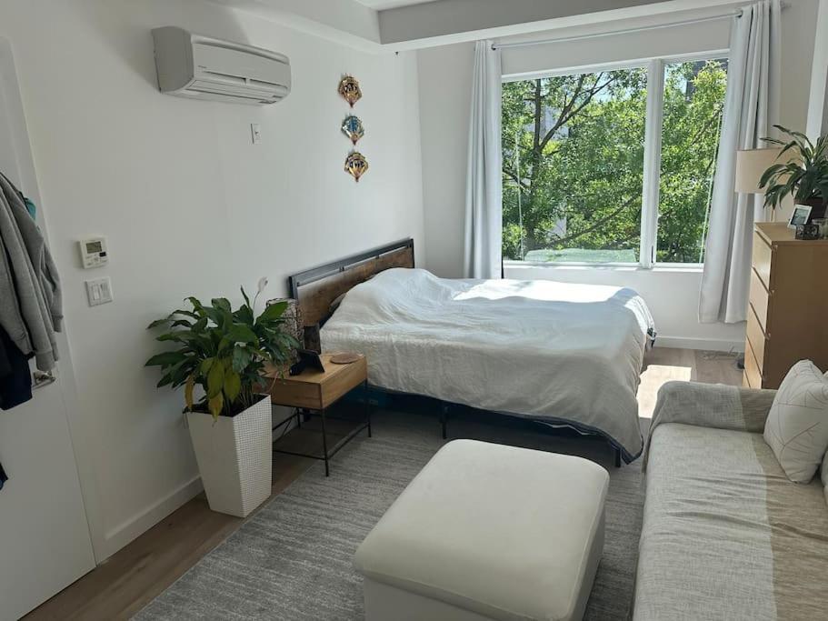 Appartamento Beautiful Greenpoint New York